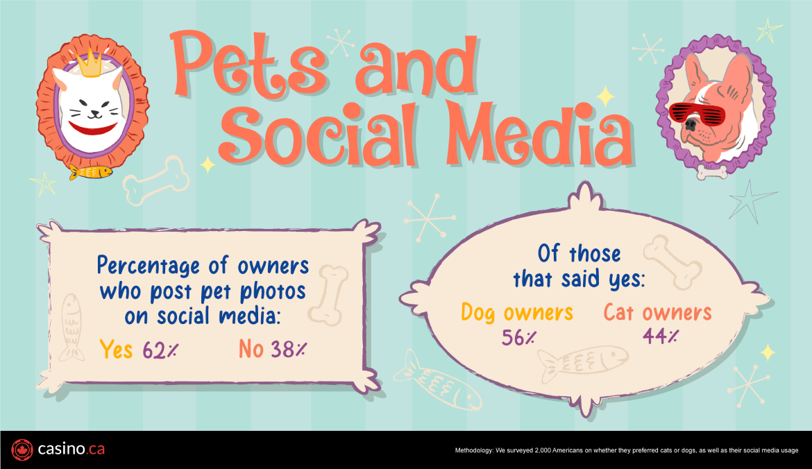 Pets and social media infographic